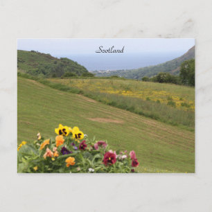 Carte Postale Ecosse, Highlands, Océan, Fleurs, Photographie