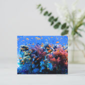 Carte Postale Écosystème sous-marin tropical (Debout devant)