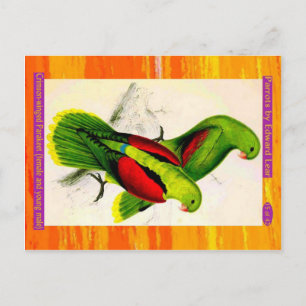 Carte Postale Écoutez. Perruche à ailes Crimson. Femme et jeune 