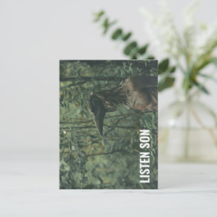 Carte Postale Écoutez Son Forest Birdman