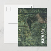 Carte Postale Écoutez Son Forest Birdman (Devant / Derrière)