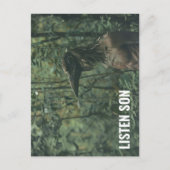 Carte Postale Écoutez Son Forest Birdman (Devant)