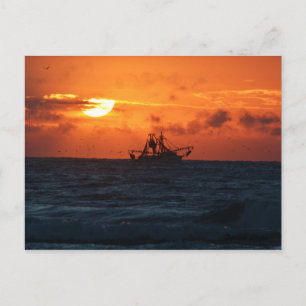 Carte Postale Écran