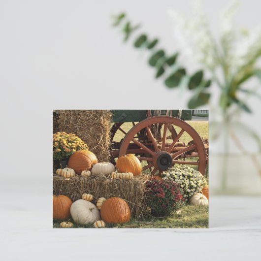 Carte Postale Écran Citrouille Automne Et Mère (Debout devant)