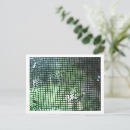 Carte Postale Écran Fenêtre Tordu (Debout devant)