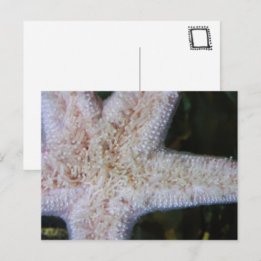 Carte Postale Écre (Devant / Derrière)