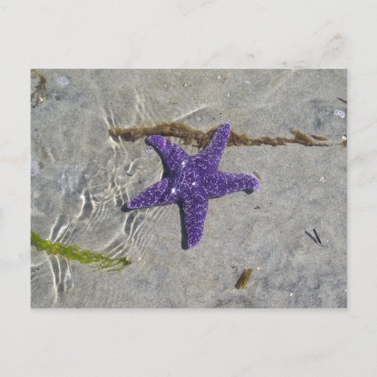 Carte Postale Écre (Devant)