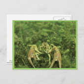 Carte Postale Écrepoisson (Devant / Derrière)