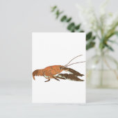 Carte Postale Écrepoisson réaliste/Crawdad (Debout devant)