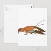 Carte Postale Écrepoisson réaliste/Crawdad (Devant / Derrière)
