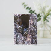 Carte Postale Écriture biblique (Debout devant)