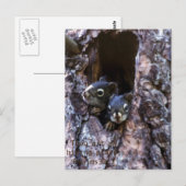 Carte Postale Écriture biblique (Devant / Derrière)