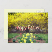 Carte Postale Écriture de vœu de Pâques Forsythia et jonquilles (Devant / Derrière)