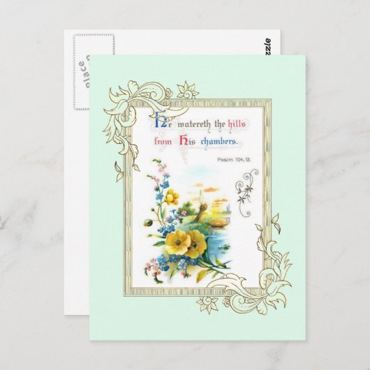 Carte Postale Écriture Et Fleurs (Devant / Derrière)