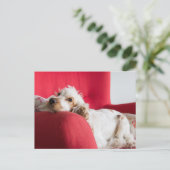 Carte Postale ecs orange et blanc chillin (Debout devant)