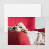 Carte Postale ecs orange et blanc chillin (Devant / Derrière)