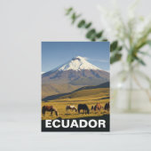 Carte Postale Ecuador Cotopaxi National Park travel (Debout devant)