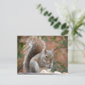 Carte Postale Écureuil (Debout devant)