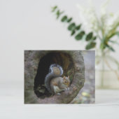 Carte postale écureuil (Debout devant)