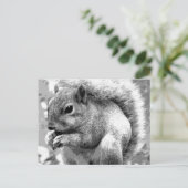Carte Postale Écureuil (Debout devant)