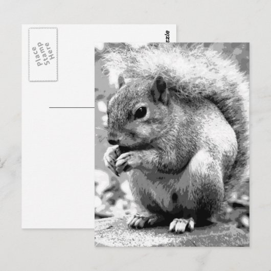 Carte Postale Écureuil (Devant / Derrière)