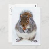 Carte Postale Écureuil (Devant / Derrière)