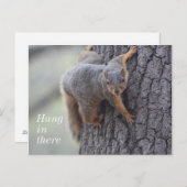 Carte Postale Écureuil (Devant / Derrière)