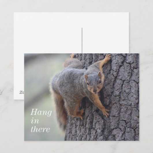 Carte Postale Écureuil (Devant / Derrière)