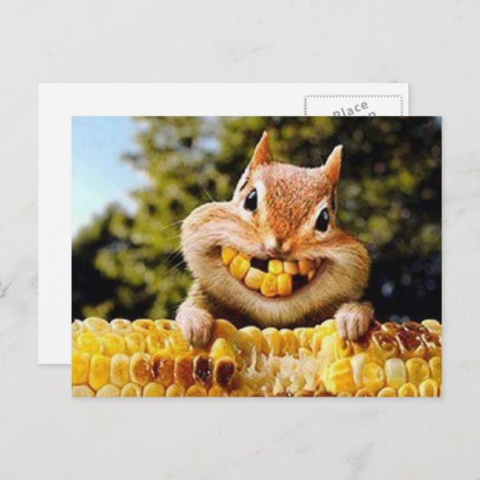 Carte Postale Écureuil (Devant / Derrière)