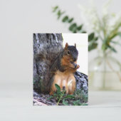 Carte Postale Écureuil (Debout devant)