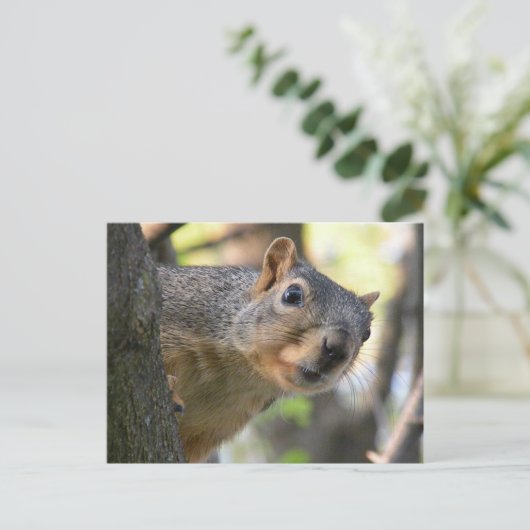 Carte postale écureuil (Debout devant)