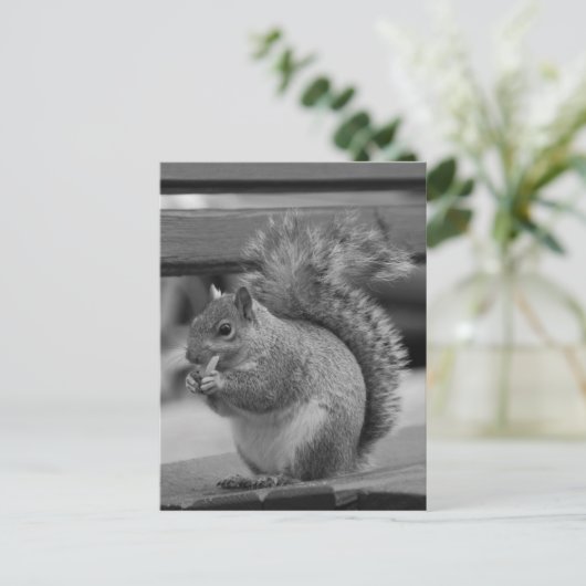 Carte Postale Écureuil (Debout devant)