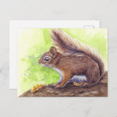Carte Postale Écureuil (Devant / Derrière)