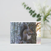 Carte Postale Écureuil (Debout devant)