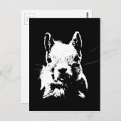 Carte Postale Écureuil (Devant / Derrière)