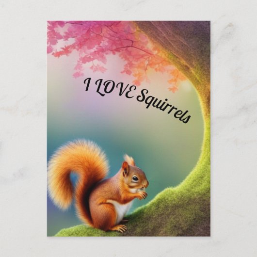 Carte Postale Écureuil (Devant)
