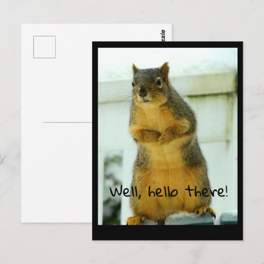 Carte postale écureuil (Devant / Derrière)