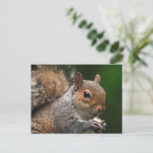 Carte postale écureuil (Debout devant)