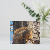 Carte postale écureuil (Debout devant)