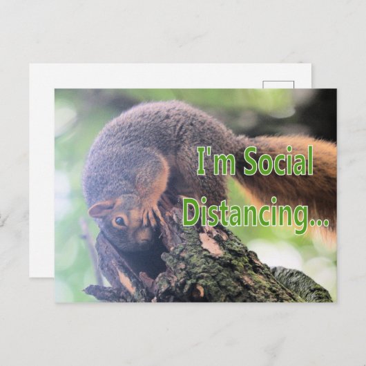 Carte Postale Écureuil antisocial (Devant / Derrière)