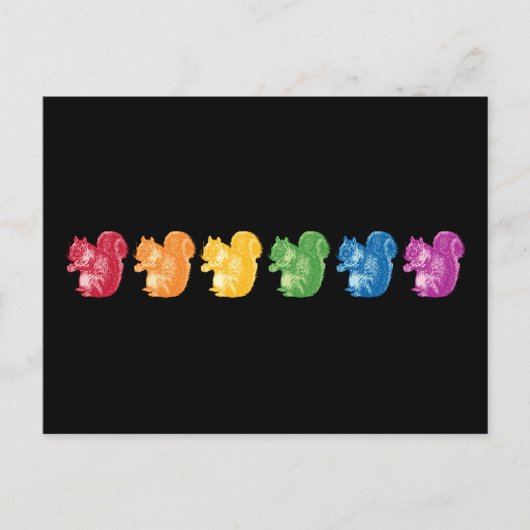 Carte Postale Écureuil arc-en-ciel (Devant)