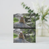 Carte Postale Écureuil au sol (Debout devant)