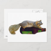 Carte Postale Écureuil avec bouteille de bière vide (Devant / Derrière)