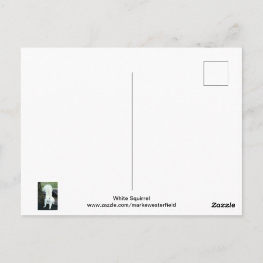 Carte Postale Écureuil blanc (Dos)