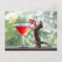 Écureuil buvant un cocktail à l'heure heureuse