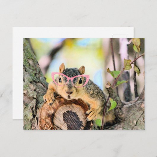 Carte Postale Écureuil chic (Devant / Derrière)