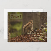 Carte Postale Écureuil - Confiance (Devant / Derrière)