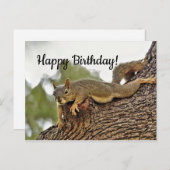 Carte Postale Écureuil couché dans un arbre pour anniversaire (Devant / Derrière)