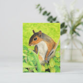 Carte Postale Écureuil curieux - Art de la faune (Debout devant)