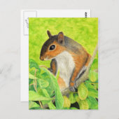 Carte Postale Écureuil curieux - Art de la faune (Devant / Derrière)